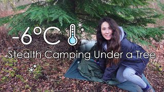 Stealth Camping Under a Tree 🥶 Below Freezing 6°C [upl. by Kamilah194]