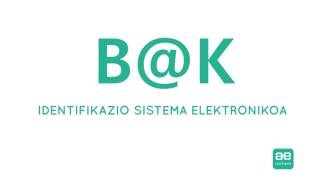 BK IDENTIFIKAZIO SISTEMA ELEKTRONIKOA [upl. by Yssac119]