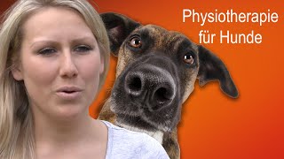 Physiotherapie für Hunde  Praxis Pfote [upl. by Alih]