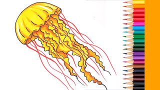 Hogyan rajzoljunk medúzát  Rajzokatás iskolásoknak [upl. by Allred]