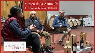 Una de las 10 bodegas fundadoras de la RIBERA DEL DUERO Entrevista en Virgen de la Asunción 🍷​🍇​ [upl. by Mohun156]