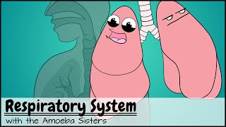 Respiratory System [upl. by Nirrep11]