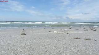 1 h Meeresrauschen Entspannung Wellenrauschen Wellen Strand Meer Ostsee HD [upl. by Amak356]