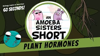 Plant Hormones  Amoeba Sisters Shorts [upl. by Ignatia]