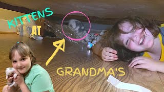 Kitten Under A Bed At Grandmas 24 Hours With Grandma Shopping amp Starbucks [upl. by Allbee543]