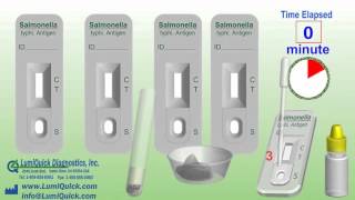 Salmonella typhi Antigen Test [upl. by Douglas834]