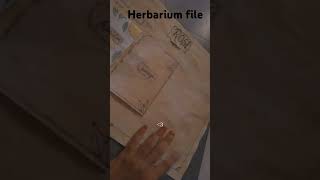 Herbarium file short video [upl. by Tergram]