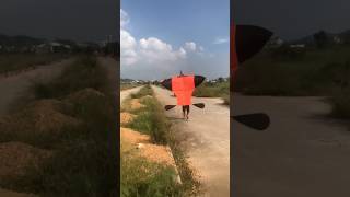 Thả diều sáo đại trà cõng giàn sáo gì đây các bạn vietnamkite kite xuhuong youtubeshorts [upl. by Eade]