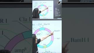 Top Mnemonics For NEET Biology You CanNot Forget neet neet2025 biology physicswallahenglish [upl. by Moreland]