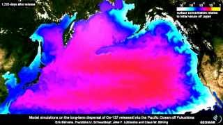 fukushima disaster simulation [upl. by Odelia]