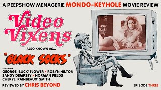 Video Vixens 1974 Movie Review [upl. by Oirretna]