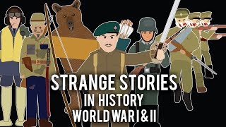 Strange Stories in History  Compilation Volume 1 [upl. by Evadne432]