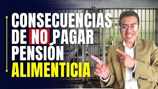 ¿Qué pasa si NO pago la PENSIÓN ALIMENTICIA a mis hijos Consecuencias legales [upl. by Buskus]