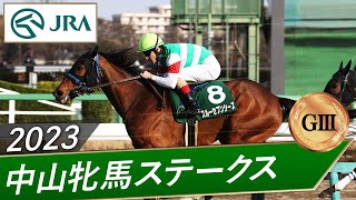 2023年 中山牝馬ステークス（GⅢ）  スルーセブンシーズ  JRA公式 [upl. by Pinette]