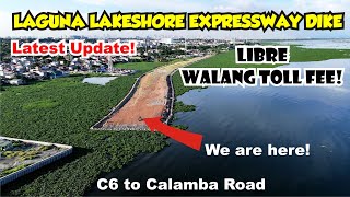 LAGUNA LAKESHORE EXPRESSWAY DIKE UPDATE [upl. by Annwahsal]