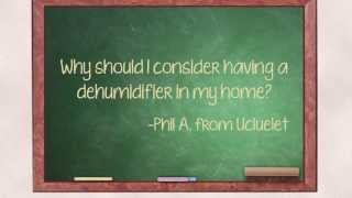 Do I Need a Dehumidifier in My Home  Island Basement Systems [upl. by Auoh]