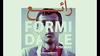 Stromae  Formidable  رائع  Paroles  مترحمة للعربية🎵 HD [upl. by Ettelrahc]