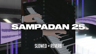 Sampadan 25 Todh Teri Dance Edit SlowedReverb  Dope Sounds [upl. by Tychon]