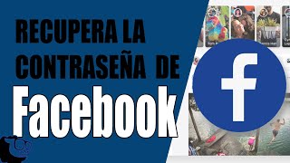 Como recuperar mi contraseña de Facebook 2024 [upl. by Yrad]