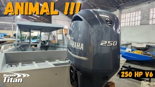 YAMAHA 250 HP V6  UM MOTOR ANIMAL [upl. by Aihsenak]