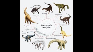 SAUROPODS Dinosaur size comparison and data [upl. by Zirkle]