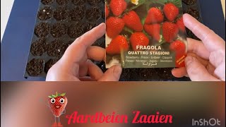 Aardbeien zaaien 🍓 [upl. by Bollay520]