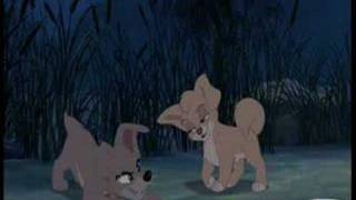 Lady and the Tramp I amp II Music Video  Bella Notte [upl. by Ettelohcin]