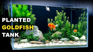 Aquascape Tutorial PLANTED GOLDFISH Aquarium The ORanchu Crew How To Full Step By Step Guide [upl. by Nidorf]