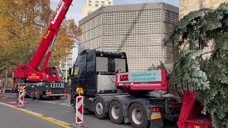 Ein Weihnachtsbaum für den Breitscheidplatz 10112023￼ [upl. by Seel]