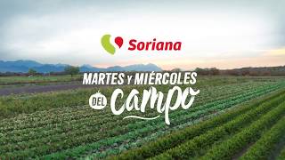 Soriana  Martes y Miércoles del Campo [upl. by Jerroll]