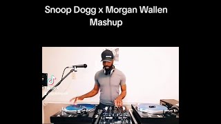 Snoop Dogg And Morgan Wallens Epic Collaboration Mashup [upl. by Kunz]