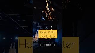 Harry Potter Behind The Scenes  Warner Bros Studio Tour  Escape To The Country 2024  BTS [upl. by Tabina884]