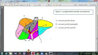 segmentation hépatique [upl. by Kira349]