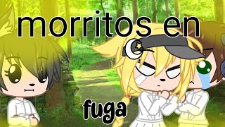 morritos en fuga gacha club the promised neverland [upl. by Chrisy462]