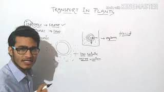 Unique Features of Plant Cells [upl. by Orutra]