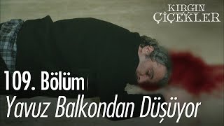 Yavuz balkondan düşüyor  Kırgın Çiçekler 109 Bölüm [upl. by Adnavoj]