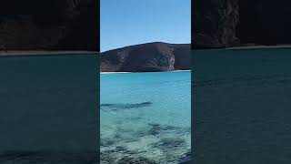 Playa Balandra La Paz México mexico travel nature viralvideo beach turismo ocean lapazbcs [upl. by Jo-Anne]