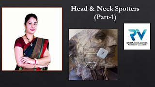 Head amp Neck Spotters Part 1 by Dr Rajitha Vanga [upl. by Lemraj495]