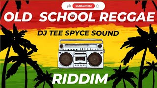 Old School Reggae Riddim  Reggae Mix 2024 [upl. by Einial731]