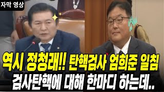 역시 정청래 기막힌 검사 활용법 quot엄희준 검사 나오세요quot 한마디 따끔하게 하는데 [upl. by Nalyak]