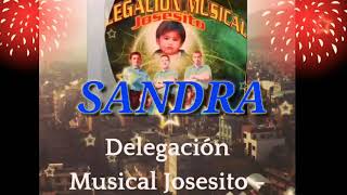 SANDRAnuevodelegación musical josesito 2018 [upl. by Chaney]