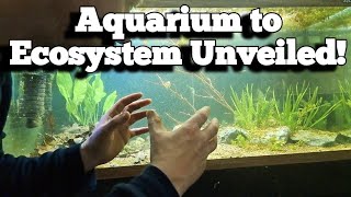 Decoding the Walstad MethodAn Aquariums Journey to an Ecosystem [upl. by Navac]