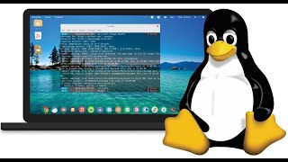 Linux Command Line [upl. by Eyma]