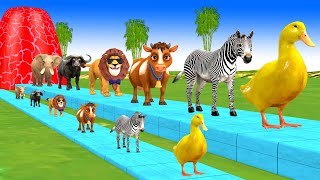 Paint amp Animals Cow ElephantsLionZebraBuffalo Fountain Crossing Transformation Cartoon [upl. by Berkman805]