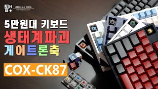 콕스 CK87 모든축리뷰 이 영상하나면 끝 가성비갑 기계식 키보드 추천 게이트론축 황축 갈축 청축 녹축 저소음갈축Gateron Keyboard5 4K [upl. by Bolte]