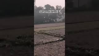 Sarson ki kheti [upl. by Annala298]