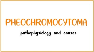 Pheochromocytoma Causes Findings Diagnosis Treatment [upl. by Chane]