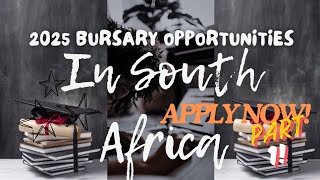 2025 BURSARY OPPORTUNITIES IN SAPart 1 [upl. by Yasdnyl884]