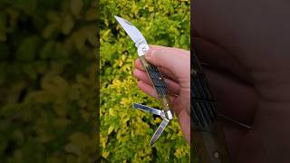 Case Seahorse whittler olive green bone fence row jig 6355WH usamade cutlery blade edc [upl. by Anerac]