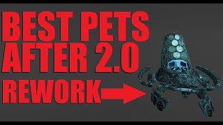 WARFRAME TOP 10 Best Companions 2024 WITH BUILDS  Koumei amp The Five Fates [upl. by Ielhsa778]